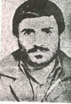 هاشم احمدی