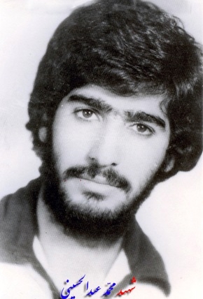 محمد عبدالحسینی*