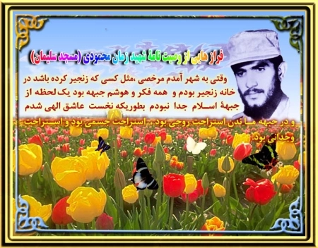 زمان محمودی