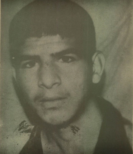 محمود آقا خورده