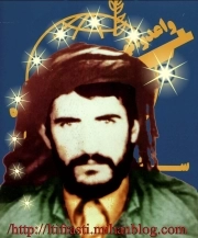 محمد داربرزین
