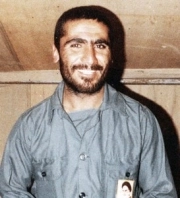 داود دانایی