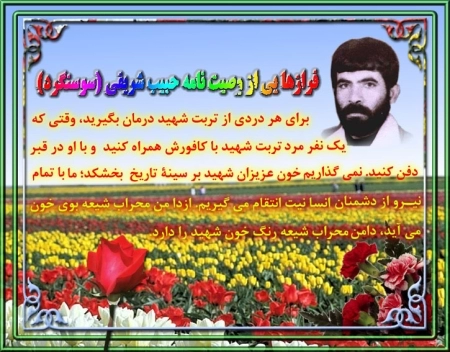 حبیب شریفی