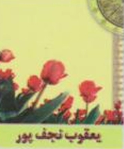 یعقوب نجف پور*