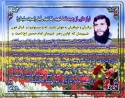 رضا شهنی فیض
