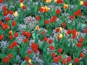 عبدالحسن مریم زاده