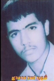 اسد محمدی