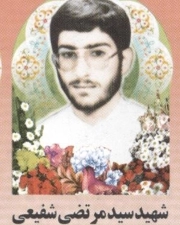 سیدمرتضی شفیعی