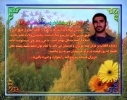 سرهنگ مقامی