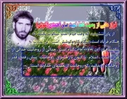 صفر احمدی