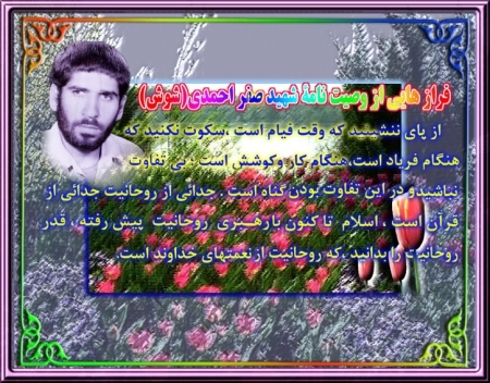 صفر احمدی