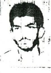 امیر عادل