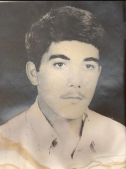 محمدرضا ذوالقدر