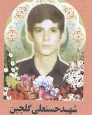 حسن علی گلچین جوادی*
