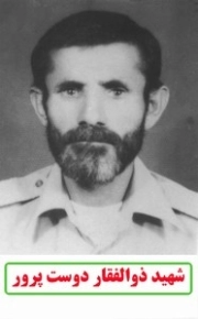 ذوالفقار دوست پرور