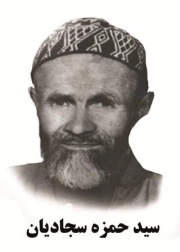 سید حمزه سجادیان