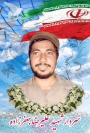 علیرضا جعفرزاده*