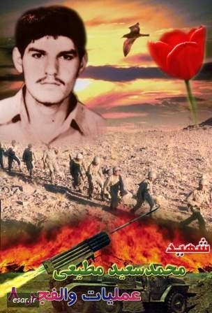 محمد سعید مطیعی