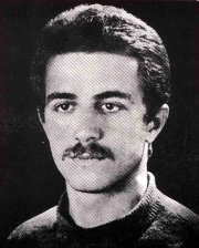 حمید امیری