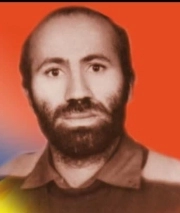 رستم میناوی