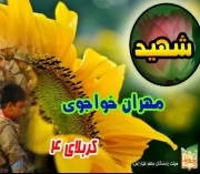 مهران خواجوی