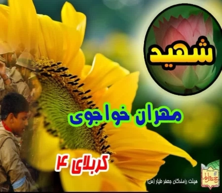 مهران خواجوی