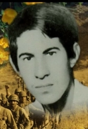 سعید حیدری