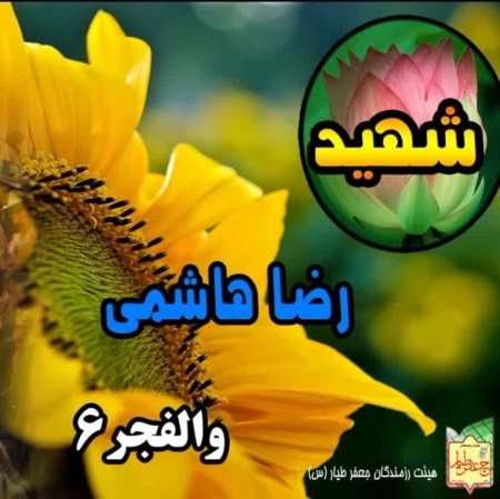 رضا هاشمی