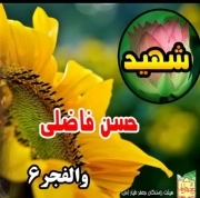 حسن فاضلی