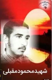 محمود مقبلی