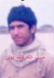 حبیب الله قلعه نوئی