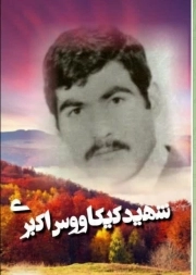 کیکاووس اکبری