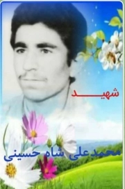 محمد علی شاه حسینی