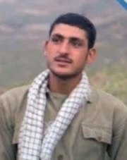 علیرضا باقری