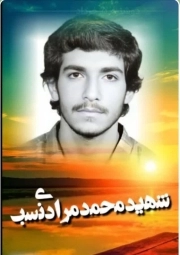 محمد مرادی نسب