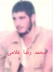 محمد رضا غلامی