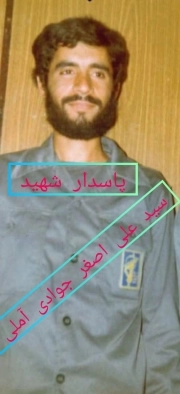 سیدعلی اصغر جوادی آملی