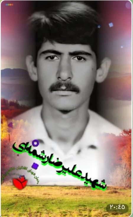 علیرضا رشمه ای