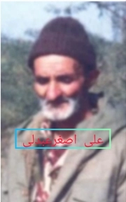 علی اصغر عبدلی