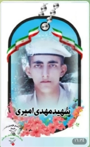 مهدی امیر ی