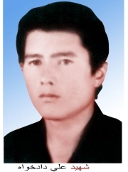علی دادخواه