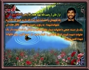 محمدرضا ربی