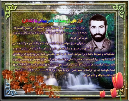 ناصر بهبهانی نیا*