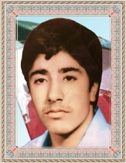 مرتضی بهاءالدینی*