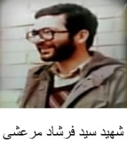 سید فرشاد مرعشی نژاد**