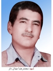 محمدرضا میدان دار