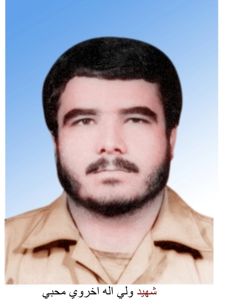 ولی الله اخروی محبی