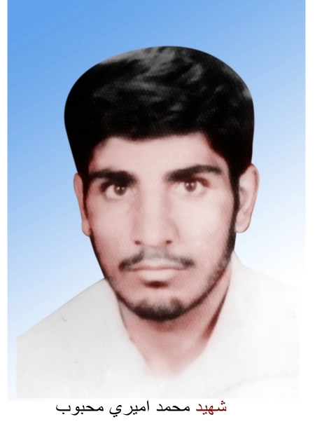 محمدامیر محبوب