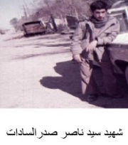 سید ناصر صدر سادات*
