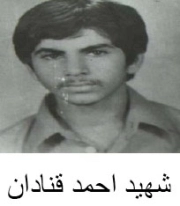 احمد قنادان زاده***